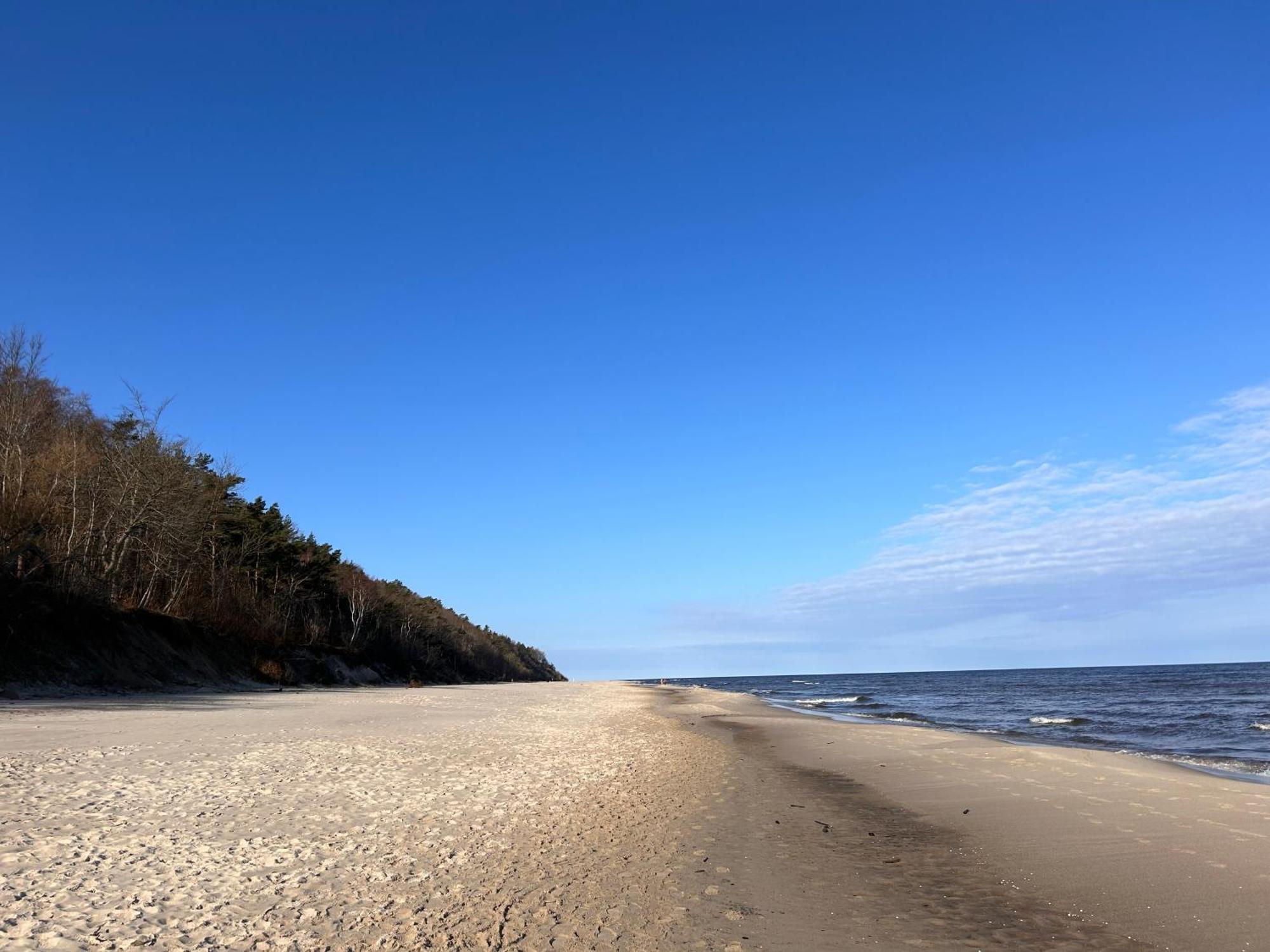 Resort Eden Domki, Apartamenty I Pokoje Jastrzębia Góra 外观 照片
